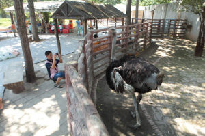 動物園一角