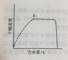 乾燥速度曲線