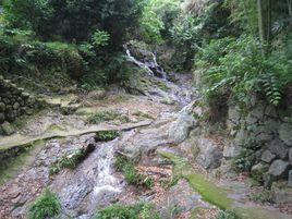 雁村陳婆岙古道