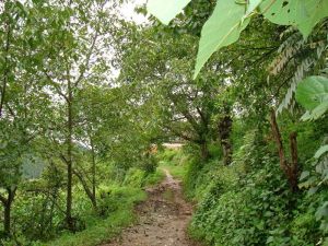 兆安地自然村 兆安地自然村