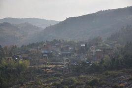 石山村[黔西南布依族苗族自治州石山村]