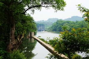 西就村[峨山縣甸中鎮西就村民委員會下轄村]