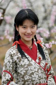 《桃花源記》[2004年磐石導演的電視劇]