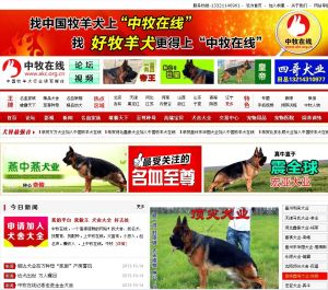 中國牧羊犬線上