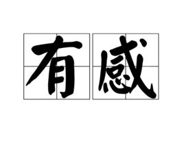 有感[漢語詞語]