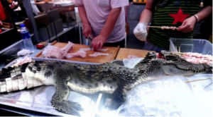 鱷魚擺放在瀋陽街頭一燒烤攤位上 