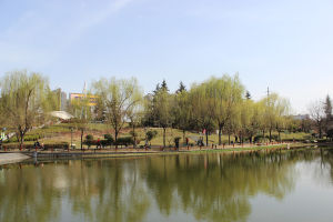 永陽公園