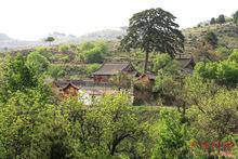 山西榆社崇聖寺