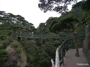 渡仙橋