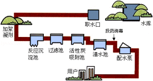 化學淨化