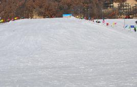 南召猿人山滑雪場