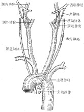 化學感受器