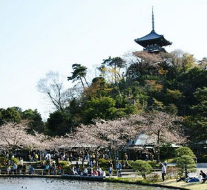 本牧海岸三溪園