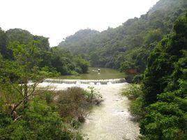 水村村[山西省陽城縣鳳城鎮水村村]