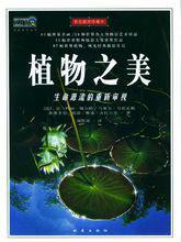 植物之美[2003年時事出版社出版圖書]