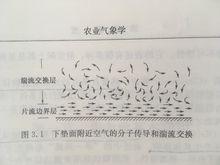 分子傳導