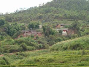 冷水河村