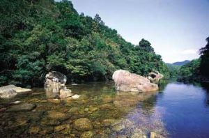 十萬大山國家森林公園