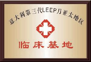 義大利第三代LEEP刀