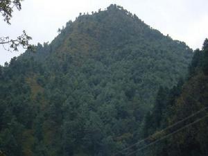 青龍山村