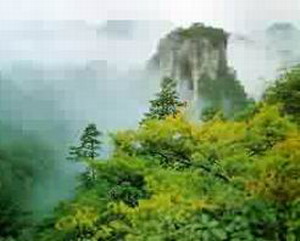 小隴山自然保護區