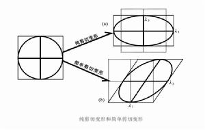 對稱伸展作用