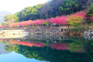 上杭國家森林公園