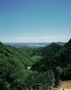 口頭村[北京懷柔區梓橋鎮下轄村]