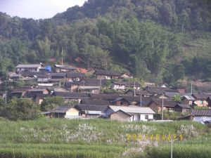 吉坐村