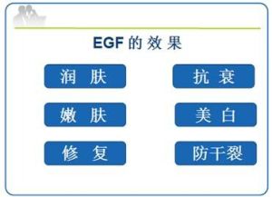 EGF的效果