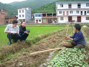 黃金鄉[湖南省汨羅市黃金鄉]