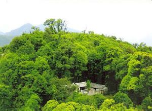 靈寶山國家森林公園