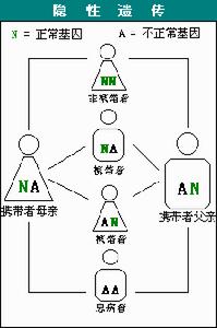 脊髓性肌肉萎縮