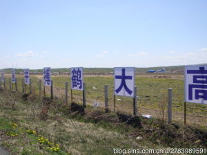 鶴大高速公路