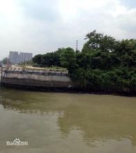 原棠下東南涌最後遺蹟