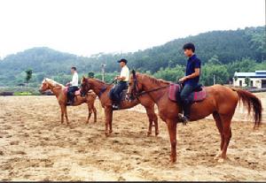 騎士堡馬術俱樂部