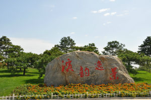 塘沽森林公園