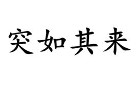 突如其來[漢語詞語]