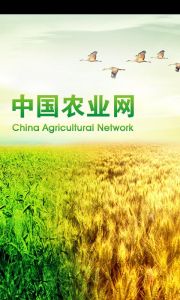 中國農業網
