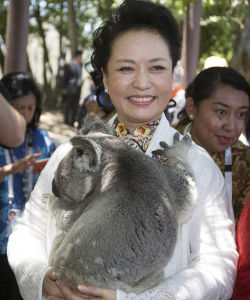 中國國家主席習近平夫人彭麗媛懷抱考拉