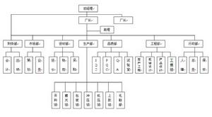 公司組織框架