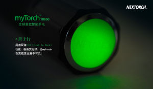 myTorch善於行