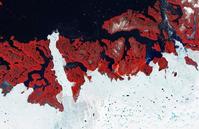 伊盧利薩特冰灣太空照片
