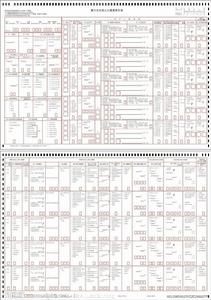 第六次全國人口普查表長表