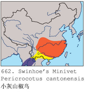 小灰山椒鳥分布