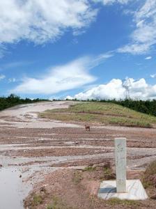 （圖）永建鎮