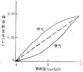 肺順應性