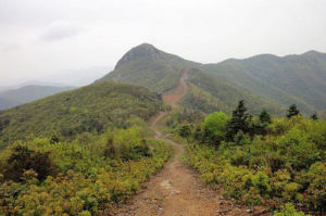 秦夾岙古道