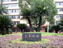 西南財經大學校園內的光華鐵樹