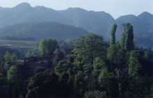 Fenggang County